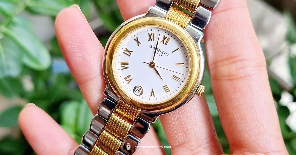 Hybrid Mechanical Smartwatch - Smartwatch Facts