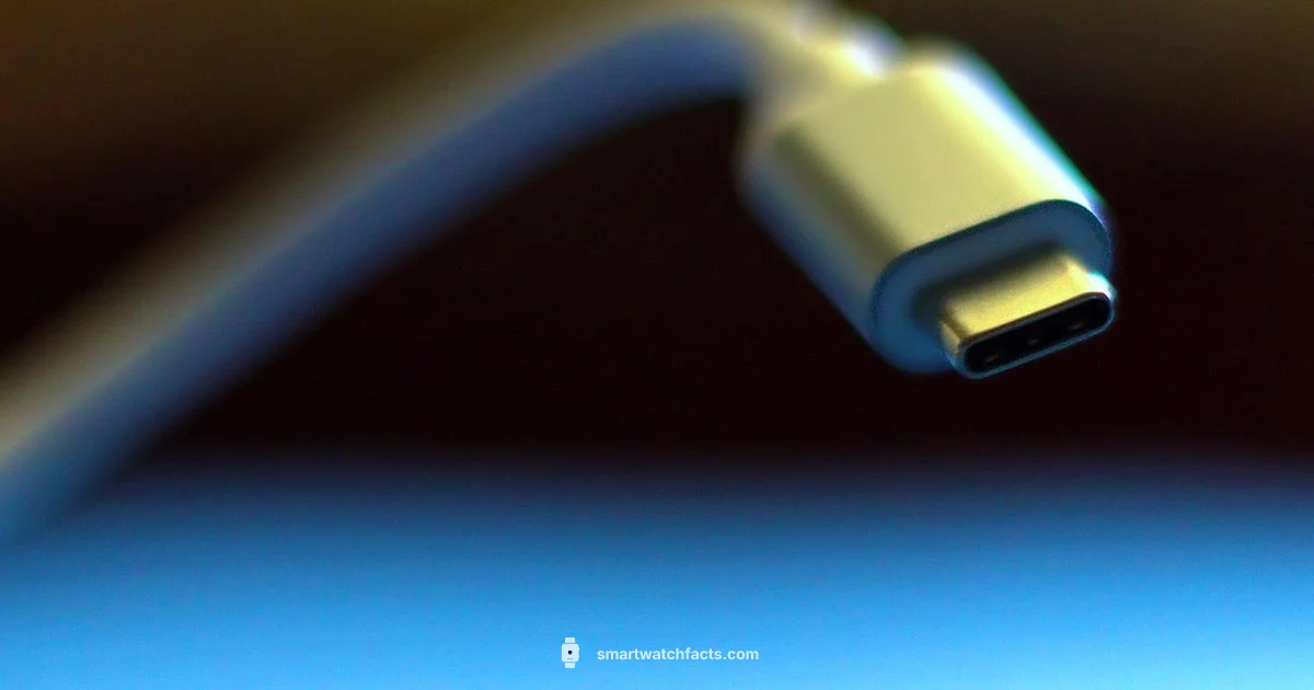 Charger Compatibility - Smartwatch Facts