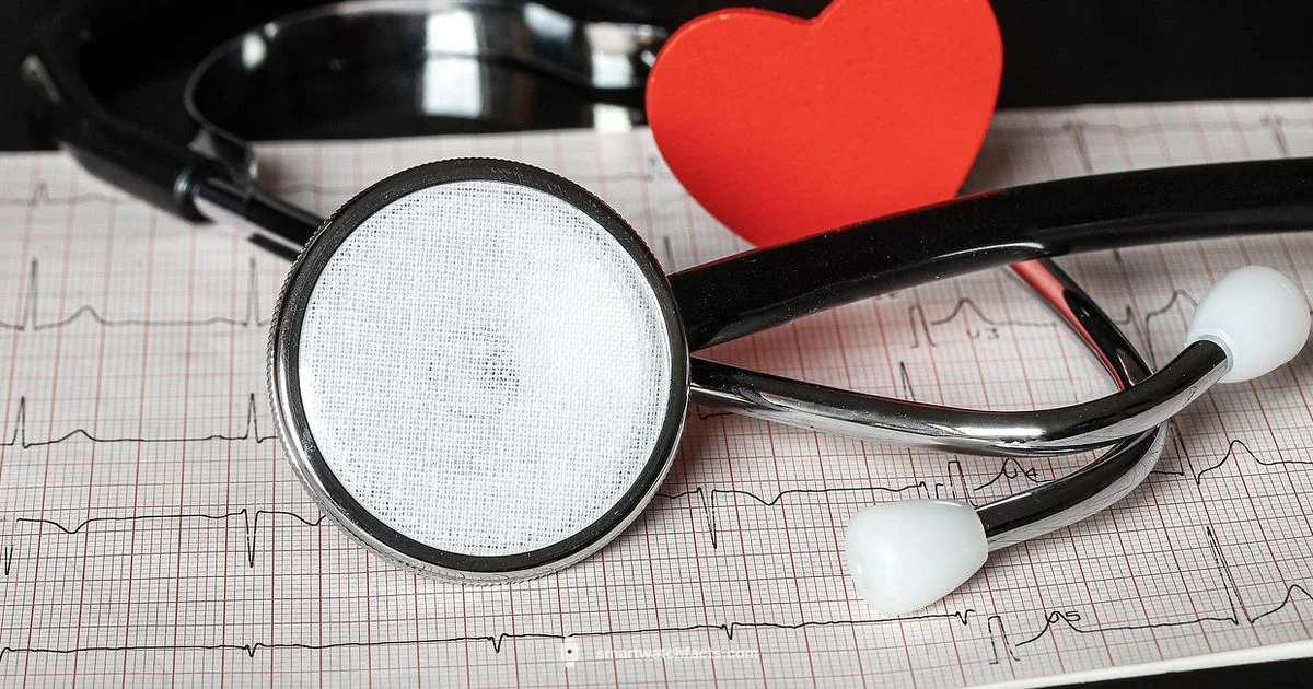 ECG Smartwatch Guide ECG Smartwatch Guide - Smartwatch Facts