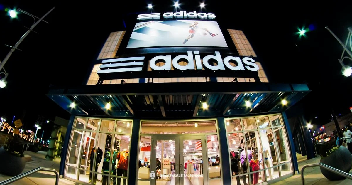 Fossil on Sale Fossil on Sale - Smartwatch Facts