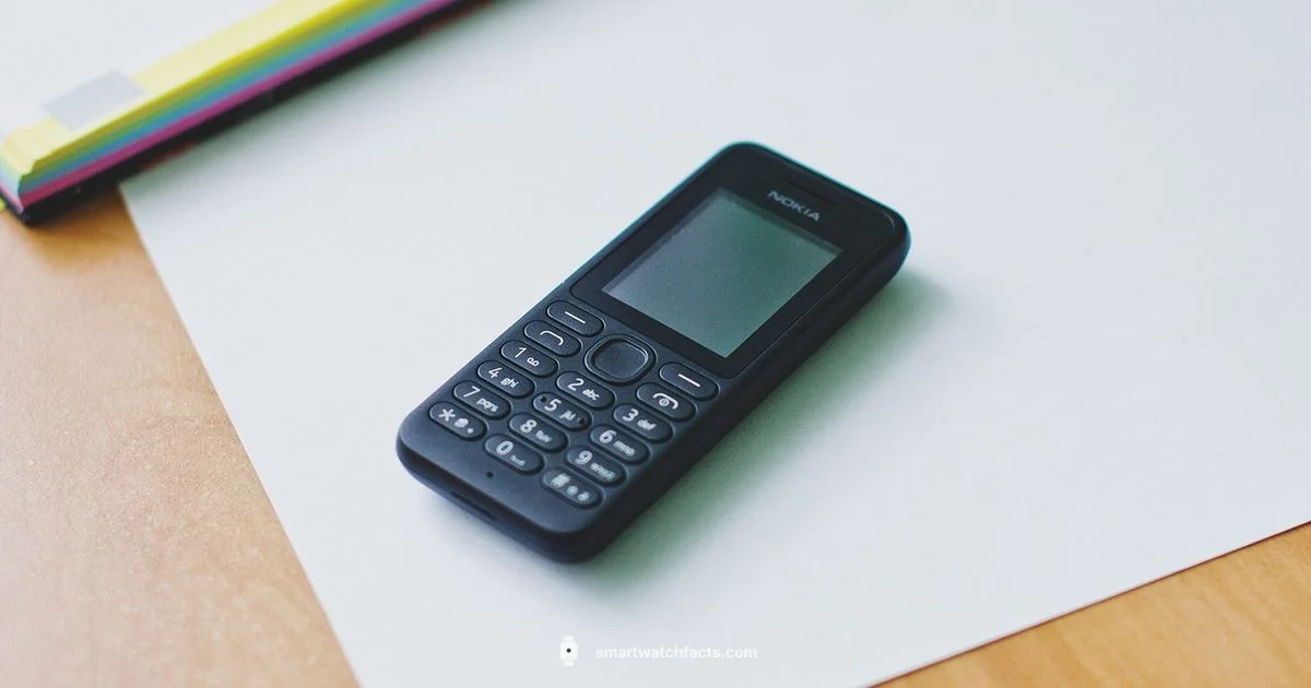 Budget Smartwatch Pick - Smartwatch Facts