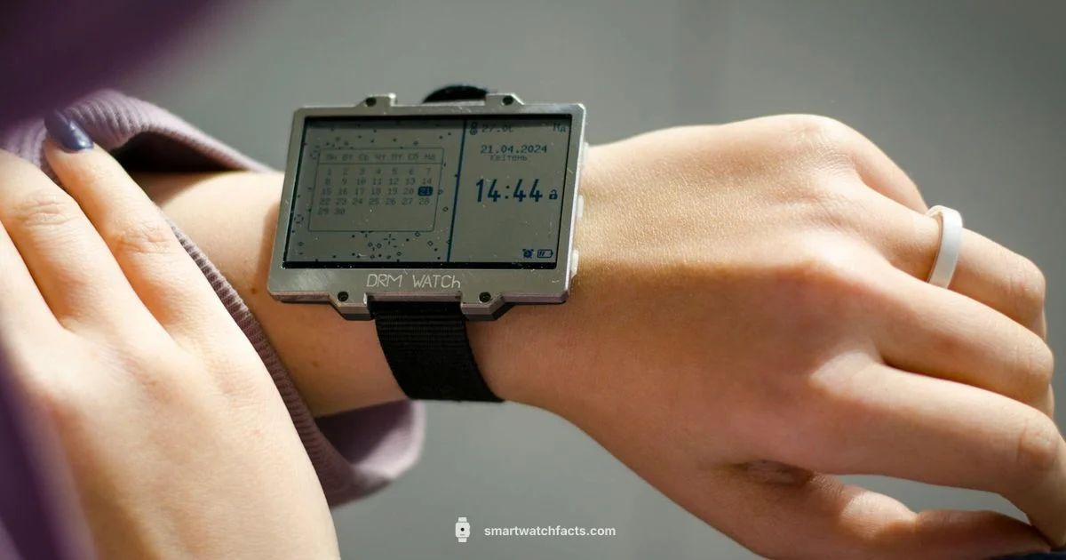 Y13 Smartwatch Overview - Smartwatch Facts