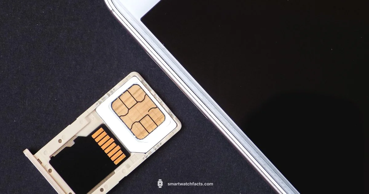 Cellular Smartwatch Guide - Smartwatch Facts