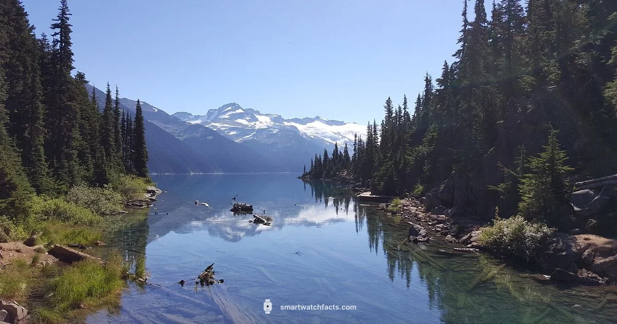 GPS Run Companion - Smartwatch Facts