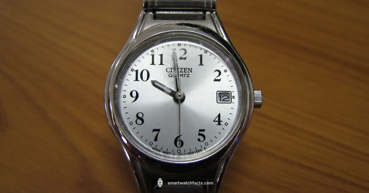 Silver MK Style - Smartwatch Facts