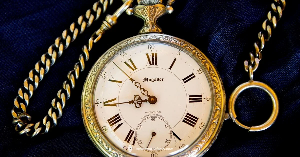 Smart Pocket Watch - Smartwatch Facts