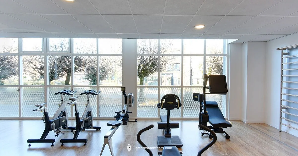 Noise Fit at a Glance - Smartwatch Facts