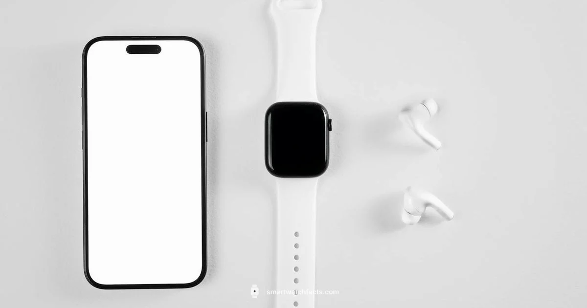 Universal Screen Guard - Smartwatch Facts