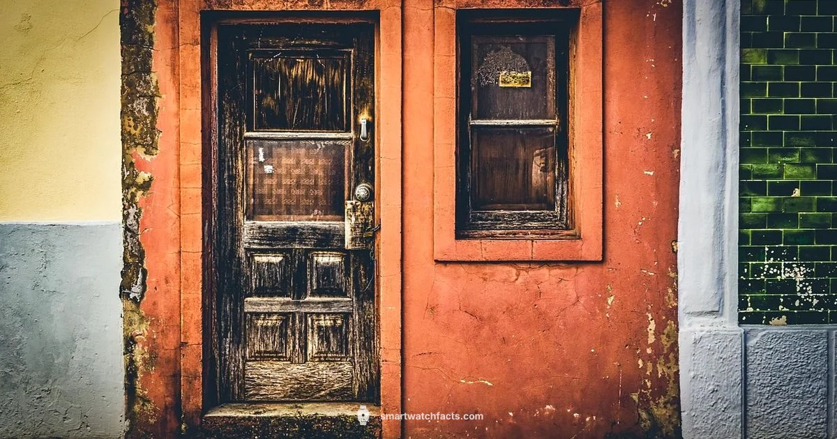 DIZO on Amazon - Smartwatch Facts