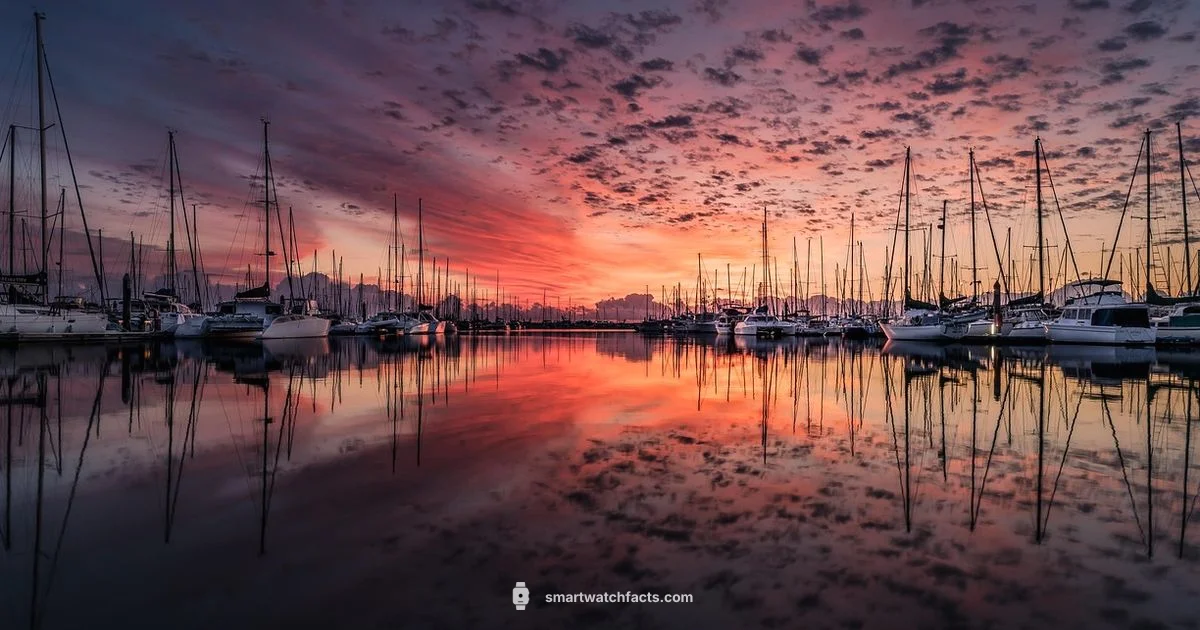 Xtend Price Guide - Smartwatch Facts