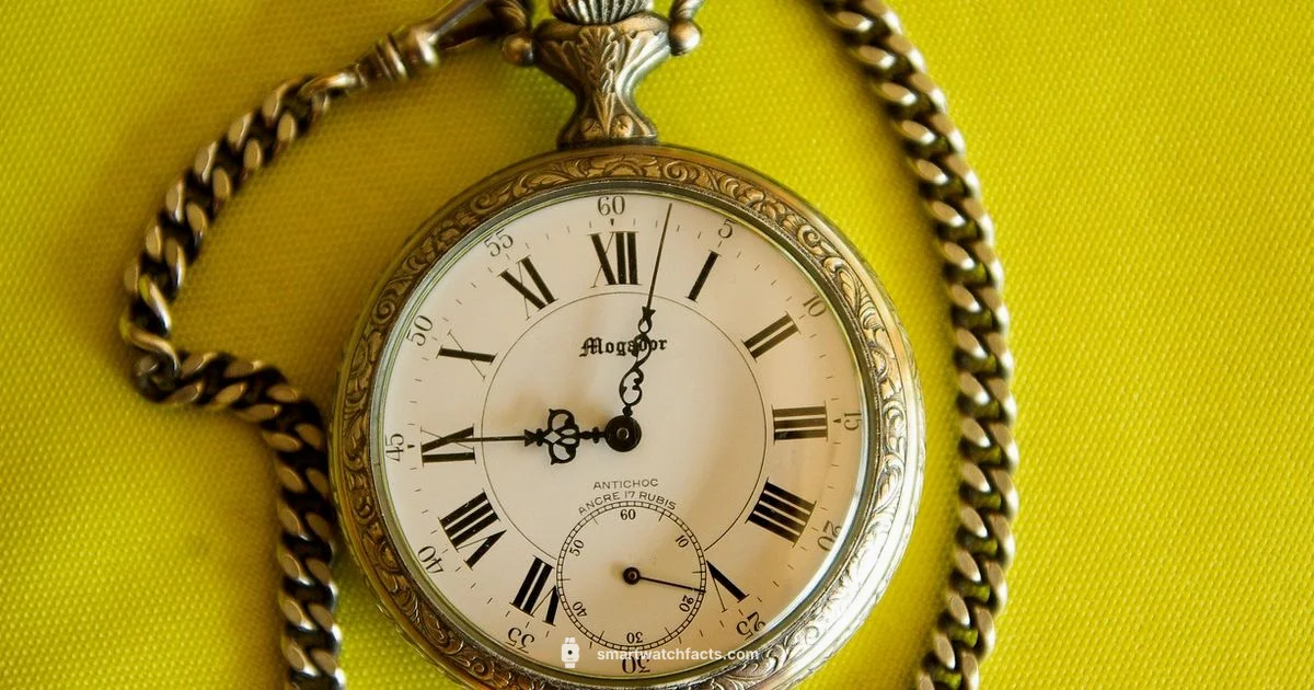 Affordable Apple Watch - Smartwatch Facts