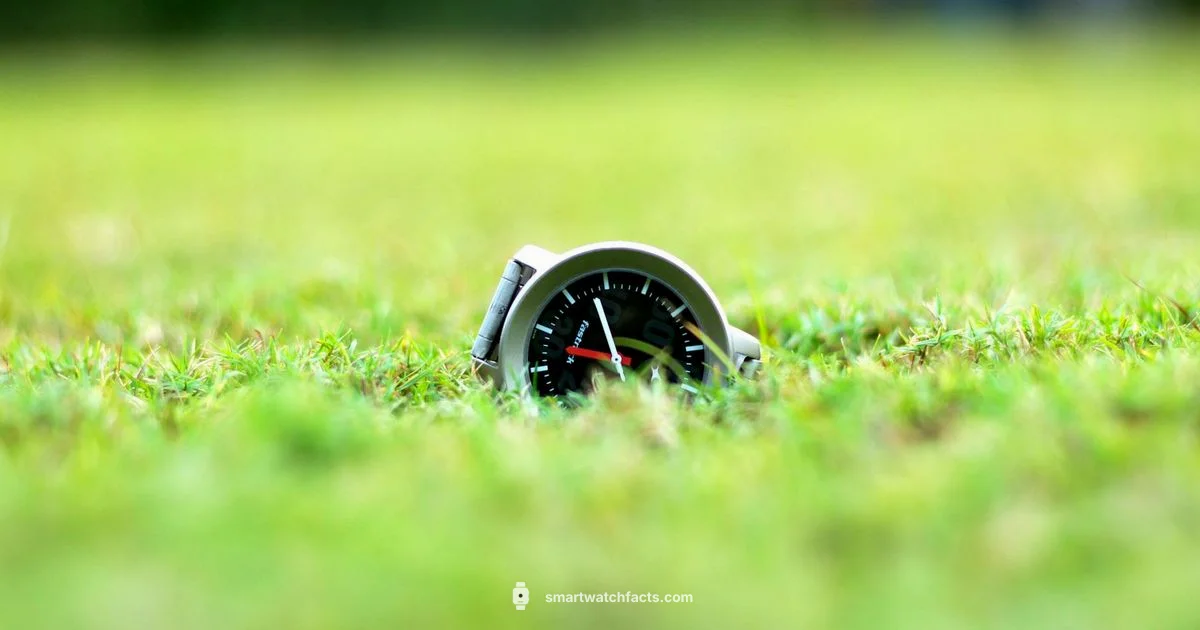 Garmin Hybrid Guide Garmin Hybrid Guide - Smartwatch Facts