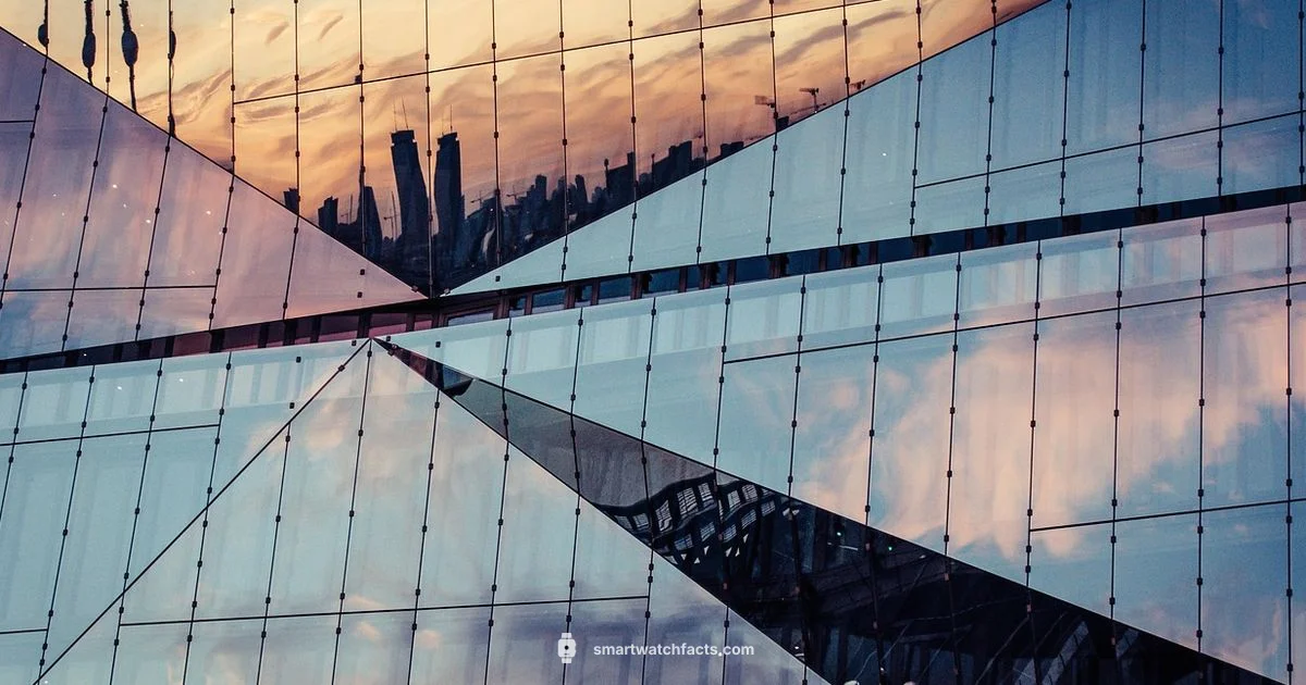 Display Price Insights - Smartwatch Facts