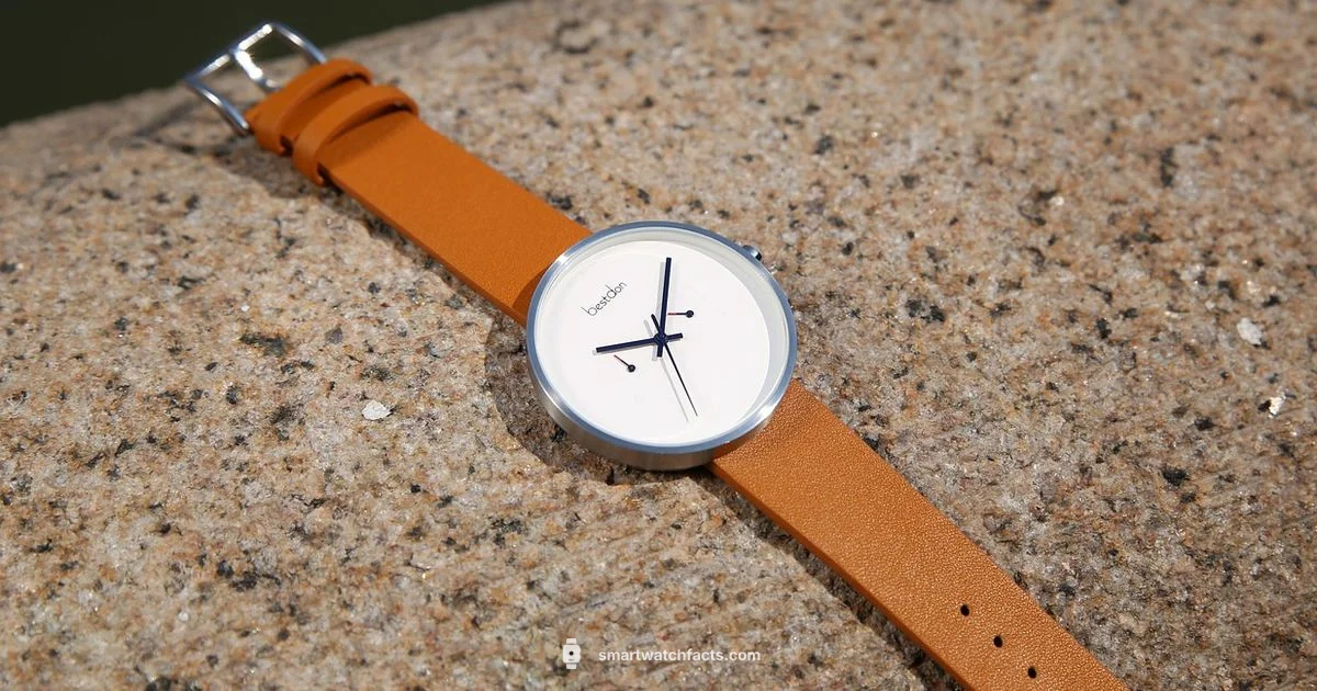 Toobur Watch Guide - Smartwatch Facts