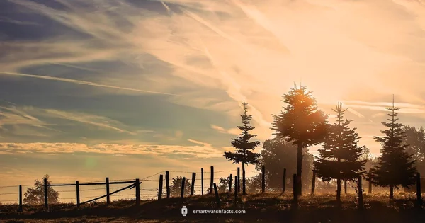 Alarm Ready Wearable - Smartwatch Facts