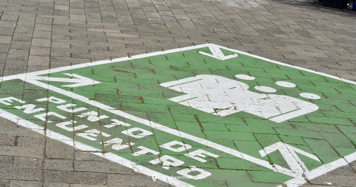 Smartwatch Safety Essentials - Smartwatch Facts