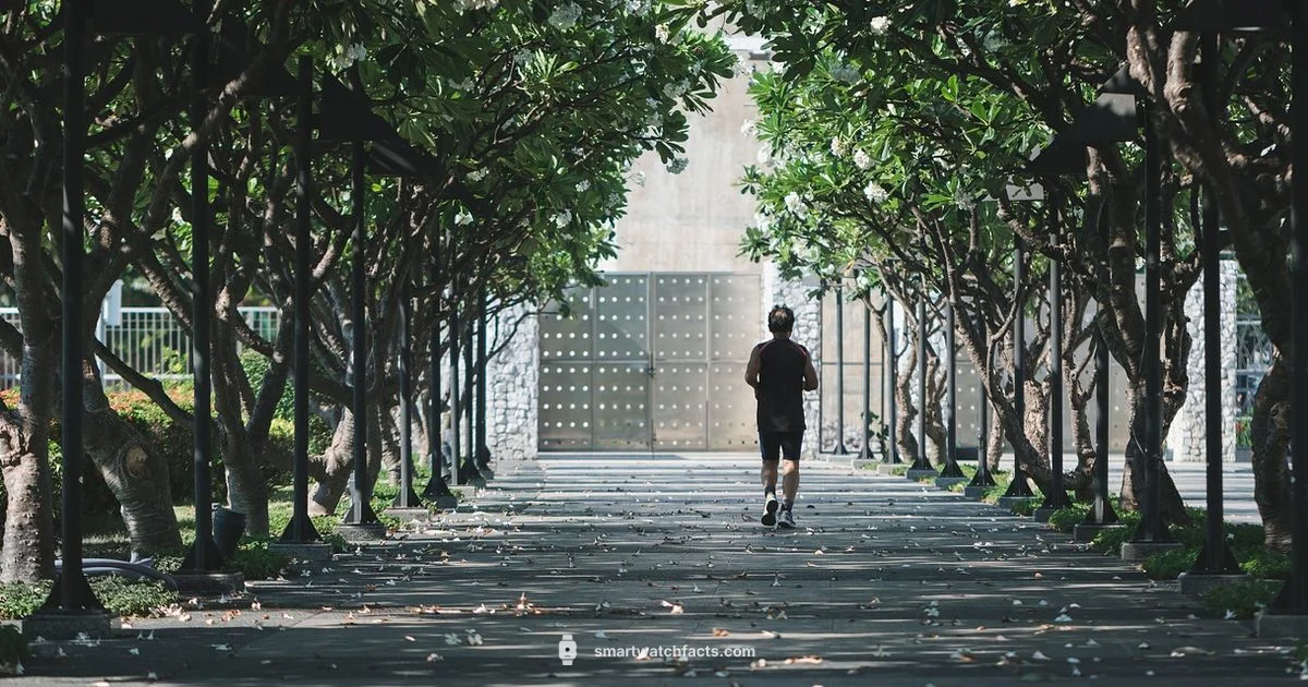 Budget Smartwatch Guide Budget Smartwatch Guide - Smartwatch Facts