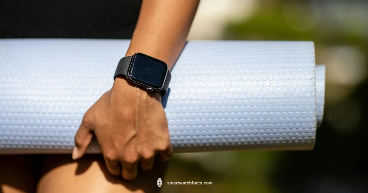 Budget Picks Budget Picks - Smartwatch Facts