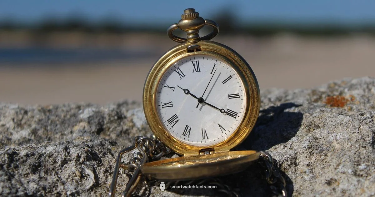 Smart Pocket Watch Smart Pocket Watch - Smartwatch Facts