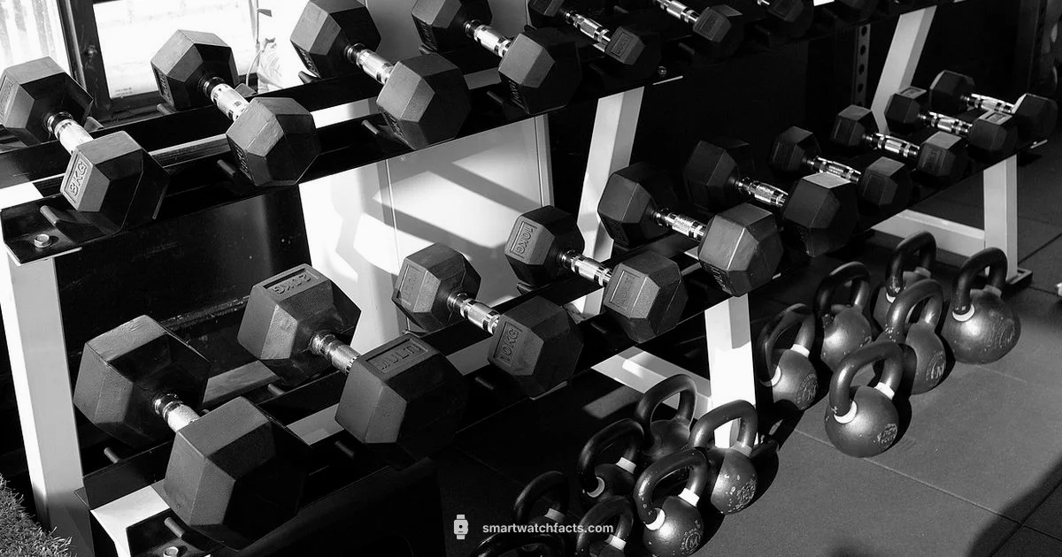 Water Resistance Guide Water Resistance Guide - Smartwatch Facts