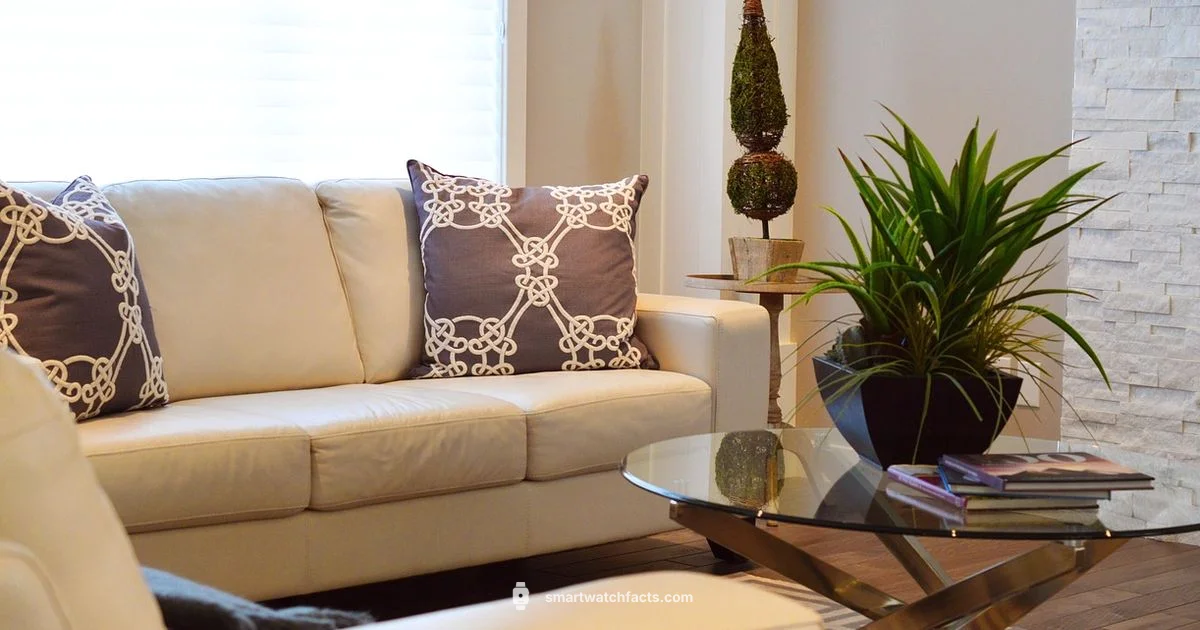 Smartwatch Showdown - Smartwatch Facts