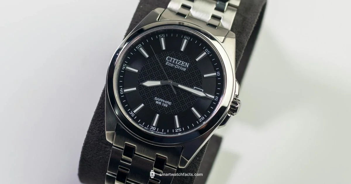 Citizen Smartwatch - Smartwatch Facts