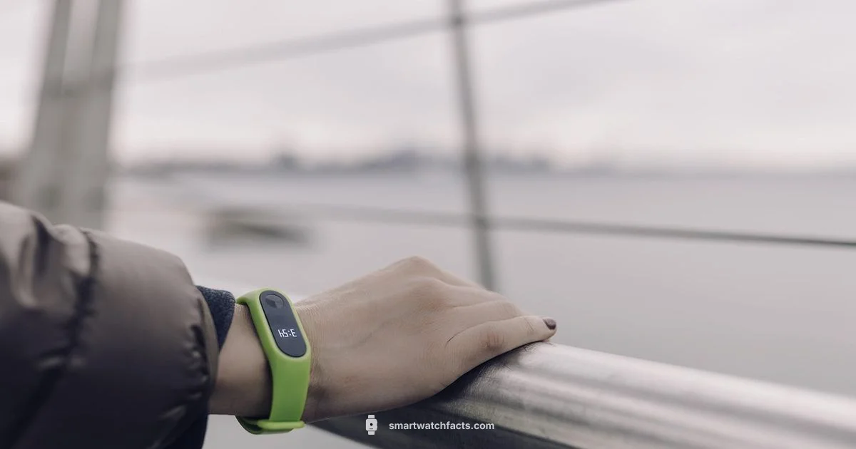 Smartwatch vs Fitness Tracker - Smartwatch Facts