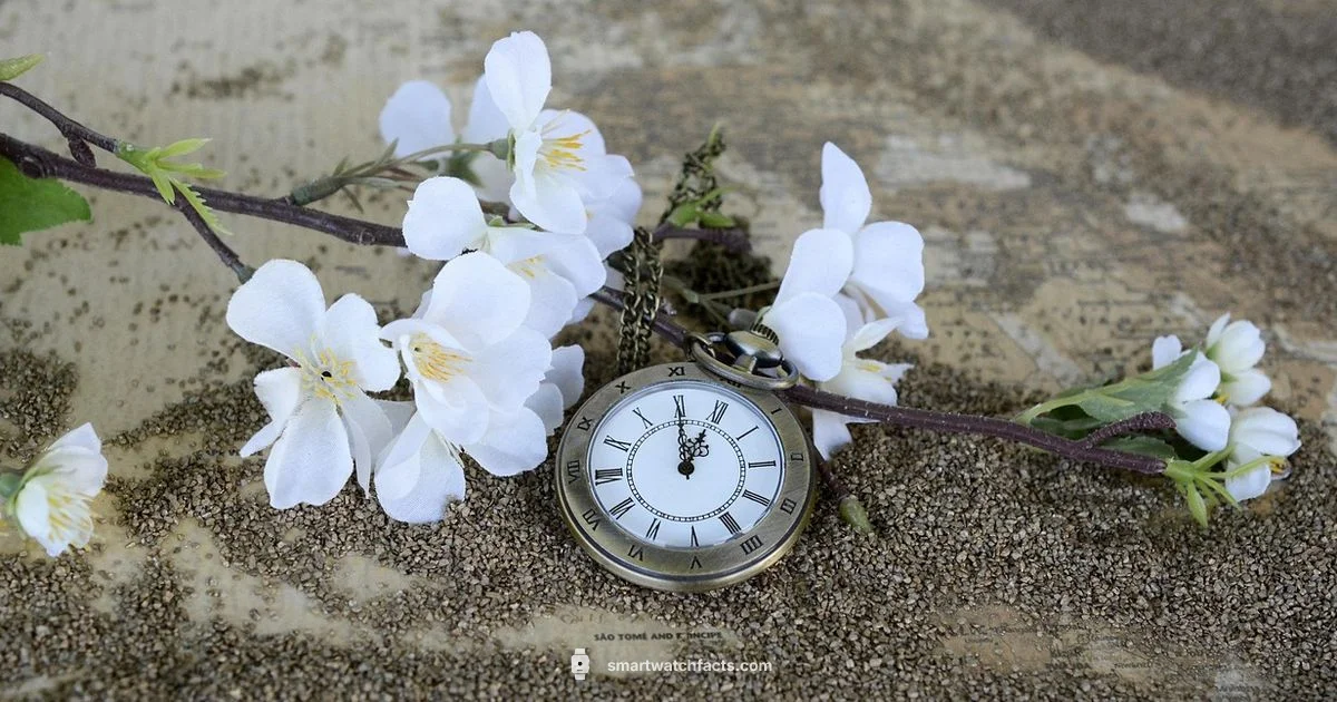 Pairing Your Smartwatch - Smartwatch Facts