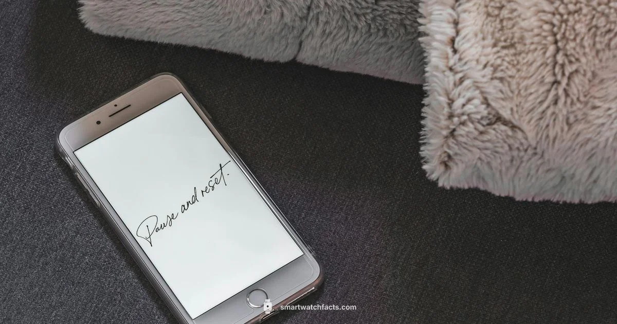 Reset Guide - Smartwatch Facts