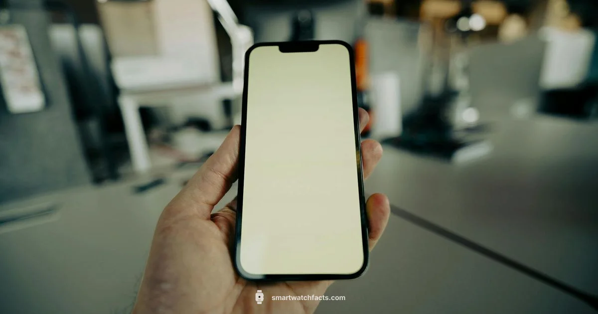 Kenya Price Guide - Smartwatch Facts