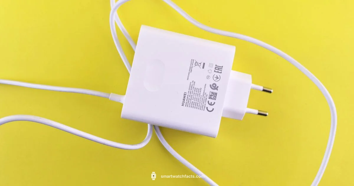 Firebolt Charger Guide - Smartwatch Facts