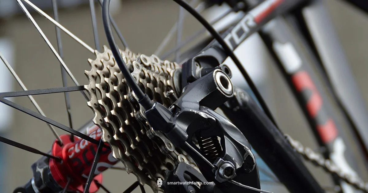 Wahoo vs Garmin - Smartwatch Facts