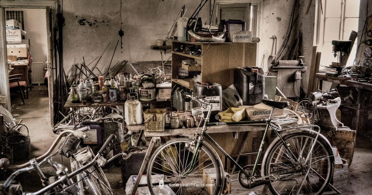 Build a Smartwatch - Smartwatch Facts