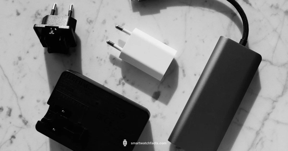 Universal Charger 2 Pin - Smartwatch Facts