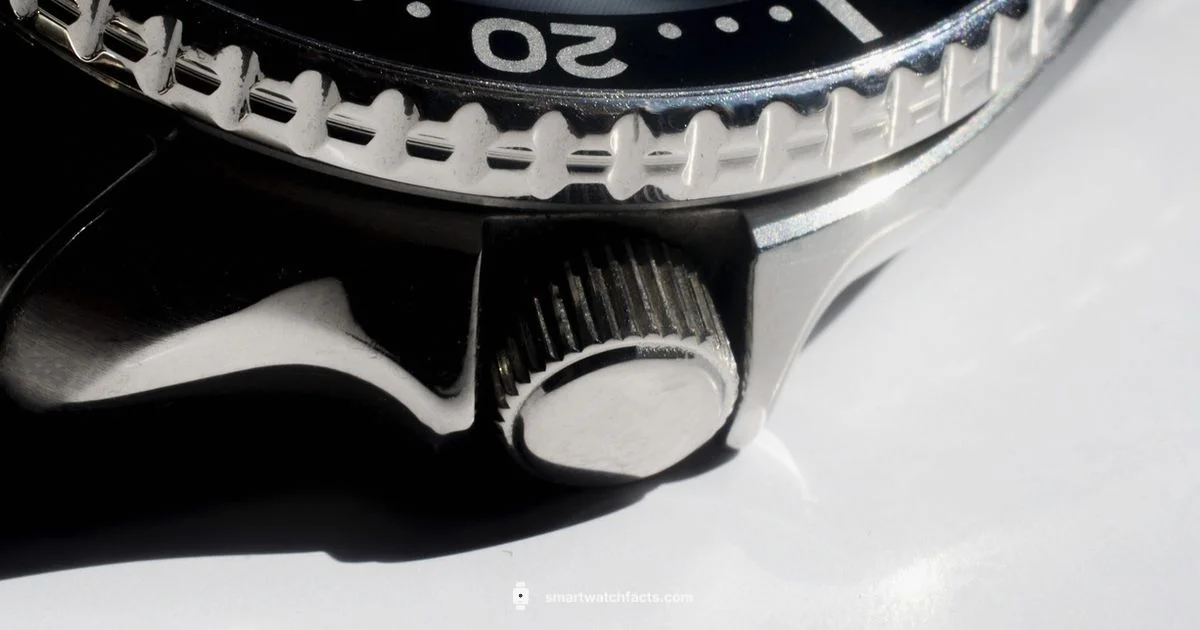 Camera on Watch Camera on Watch - Smartwatch Facts