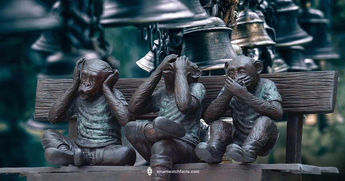 Boult vs Boat vs Noise - Smartwatch Facts