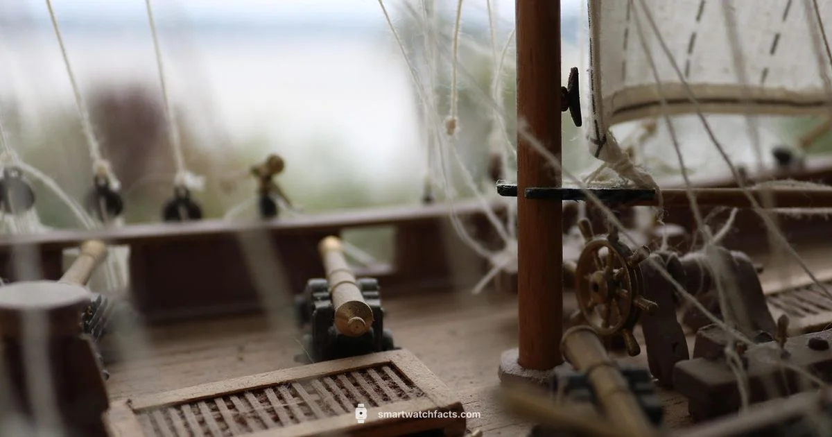 Boat Watch Fix - Smartwatch Facts