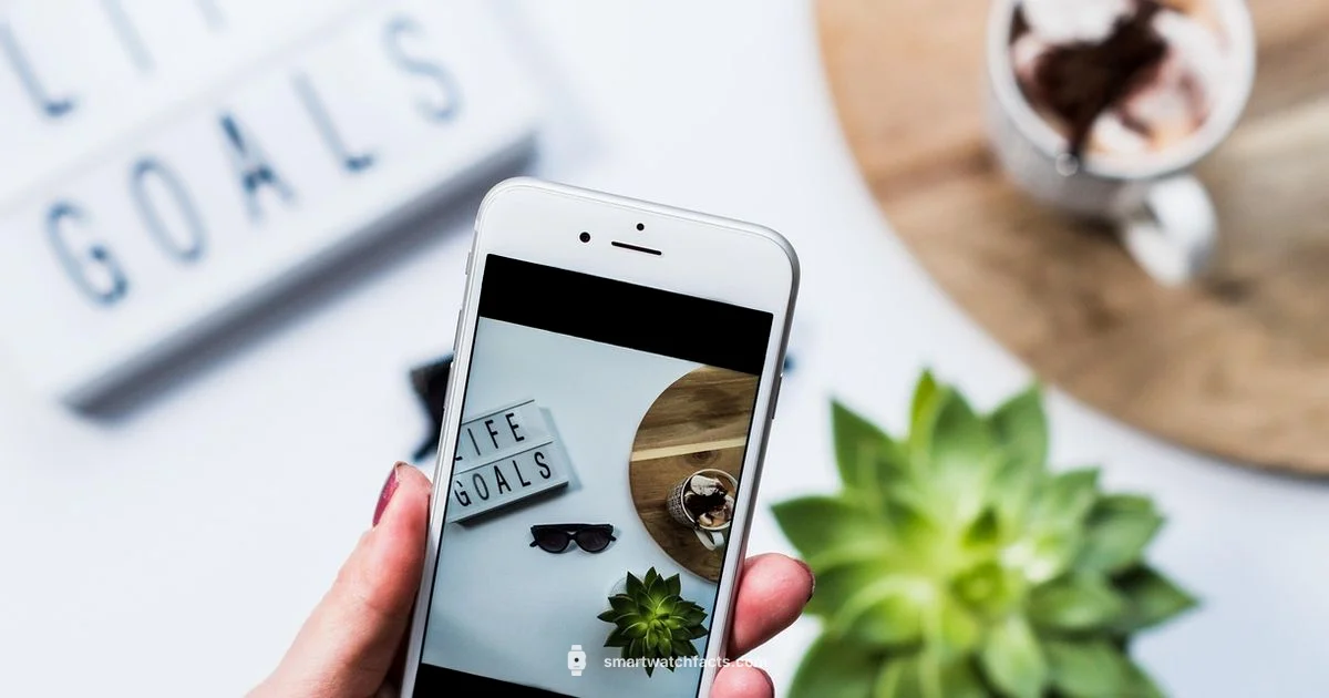 Haylou Guide - Smartwatch Facts