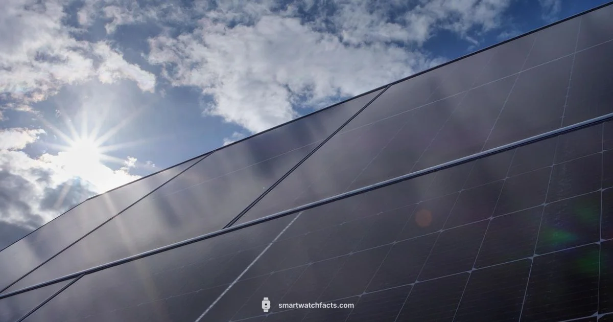 Solar Charging Watch - Smartwatch Facts