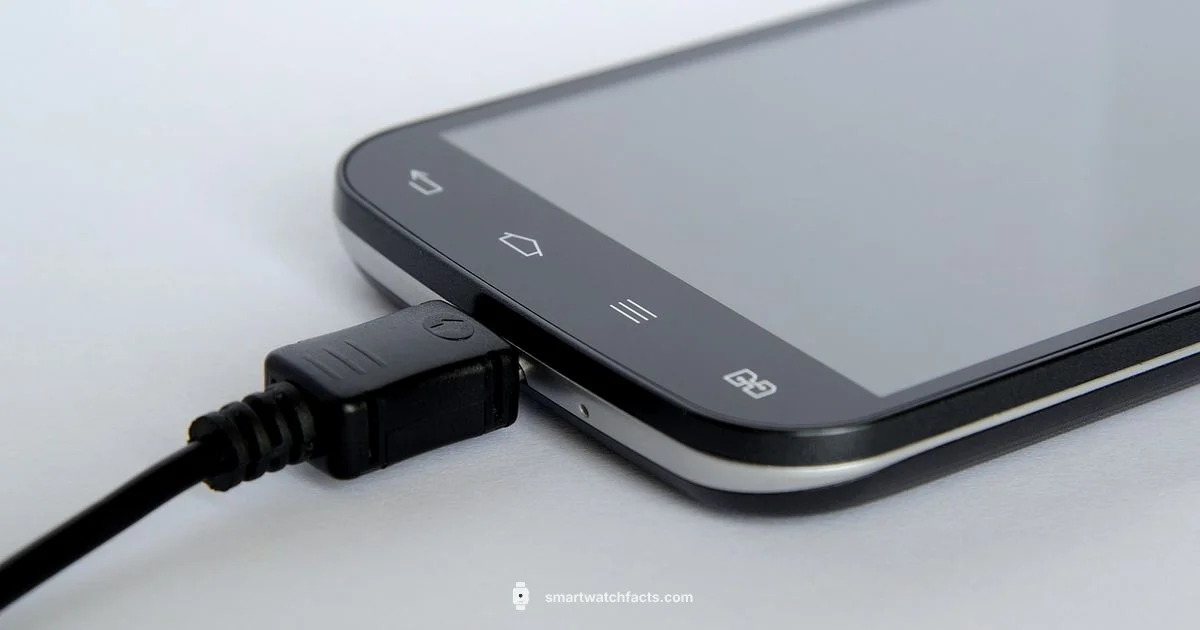 Charger Check Charger Check - Smartwatch Facts