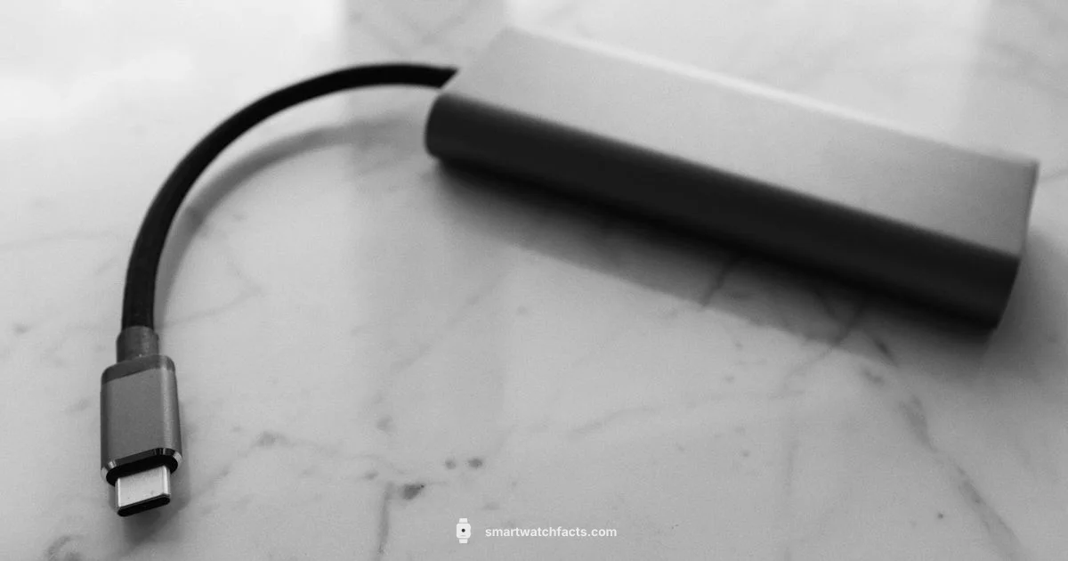 Vibe Lite Charger - Smartwatch Facts