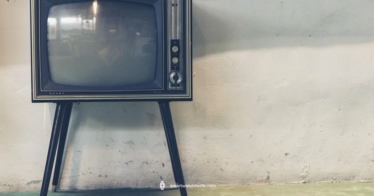 Offline TV Guide - Smartwatch Facts