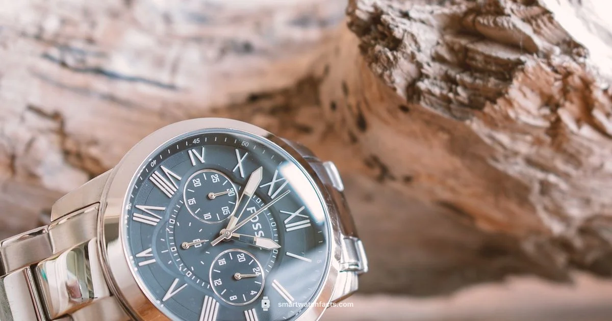 Fossil Watch Evolution - Smartwatch Facts