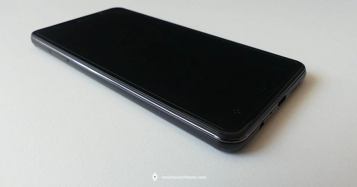 Touch Screen Watch - Smartwatch Facts