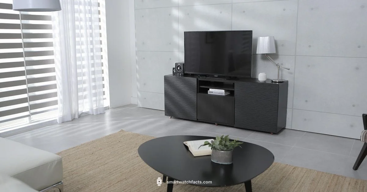 Toobur Pricing - Smartwatch Facts