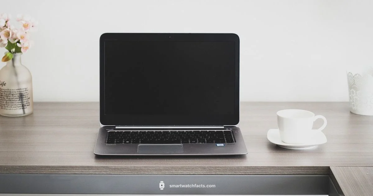 Buy Online Smart Watches - Smartwatch Facts