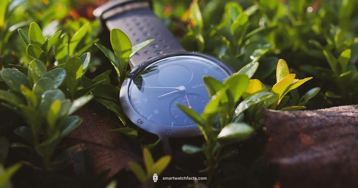 Smartwatch Essentials Guide Smartwatch Essentials Guide - Smartwatch Facts