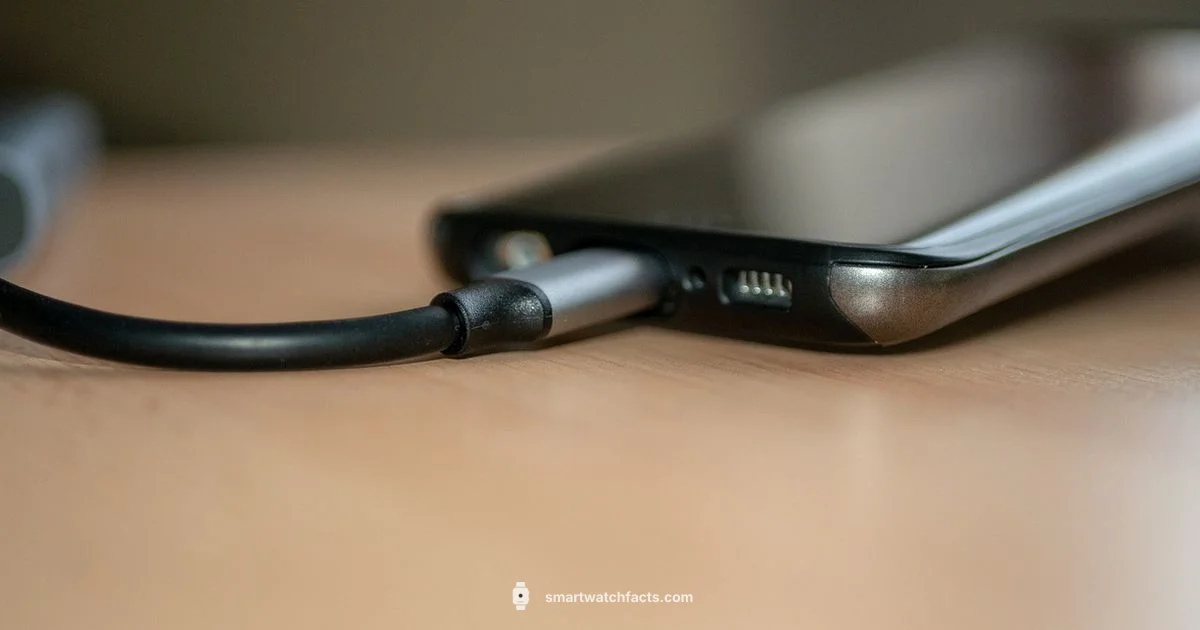 USB Charging Essentials - Smartwatch Facts