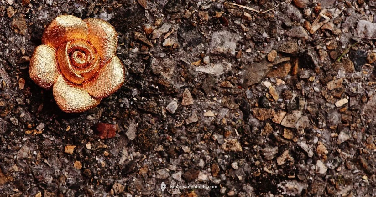 Fossil Rose Gold - Smartwatch Facts