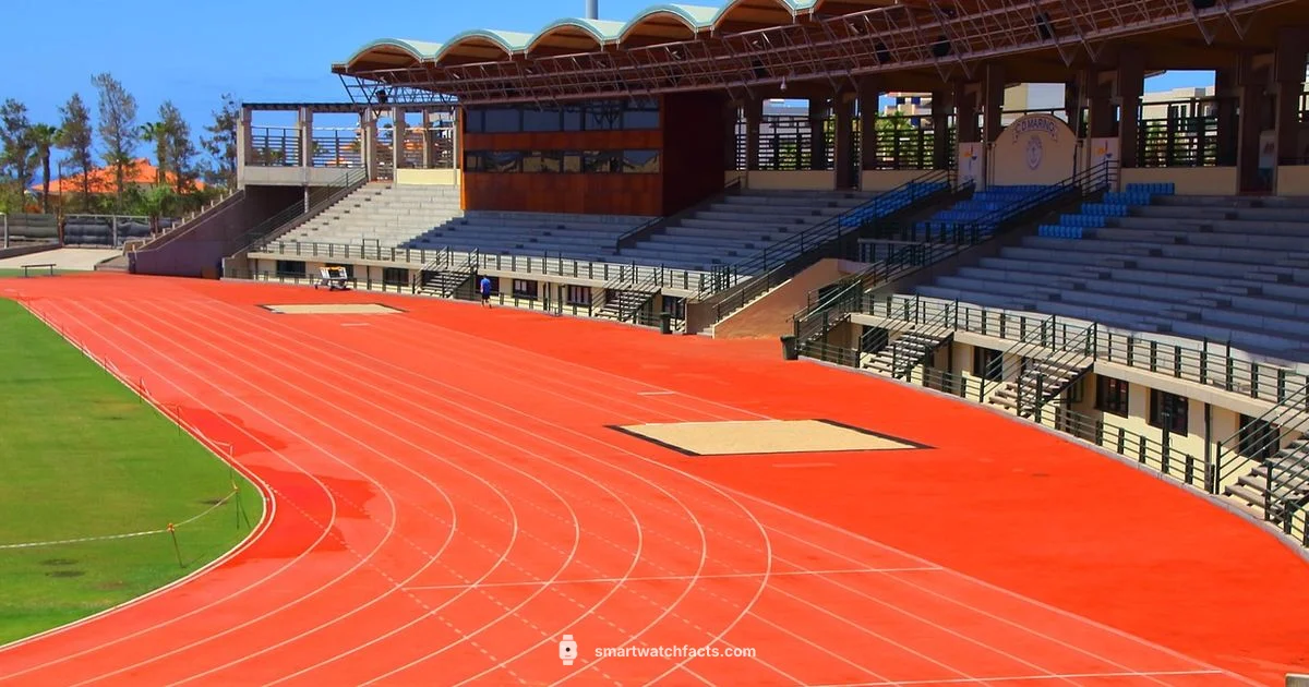 Step Counter Tech Step Counter Tech - Smartwatch Facts